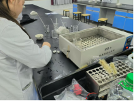 以赛促学强技能，匠心筑药护健康—药学技能竞赛初赛（固体制剂制备）简报